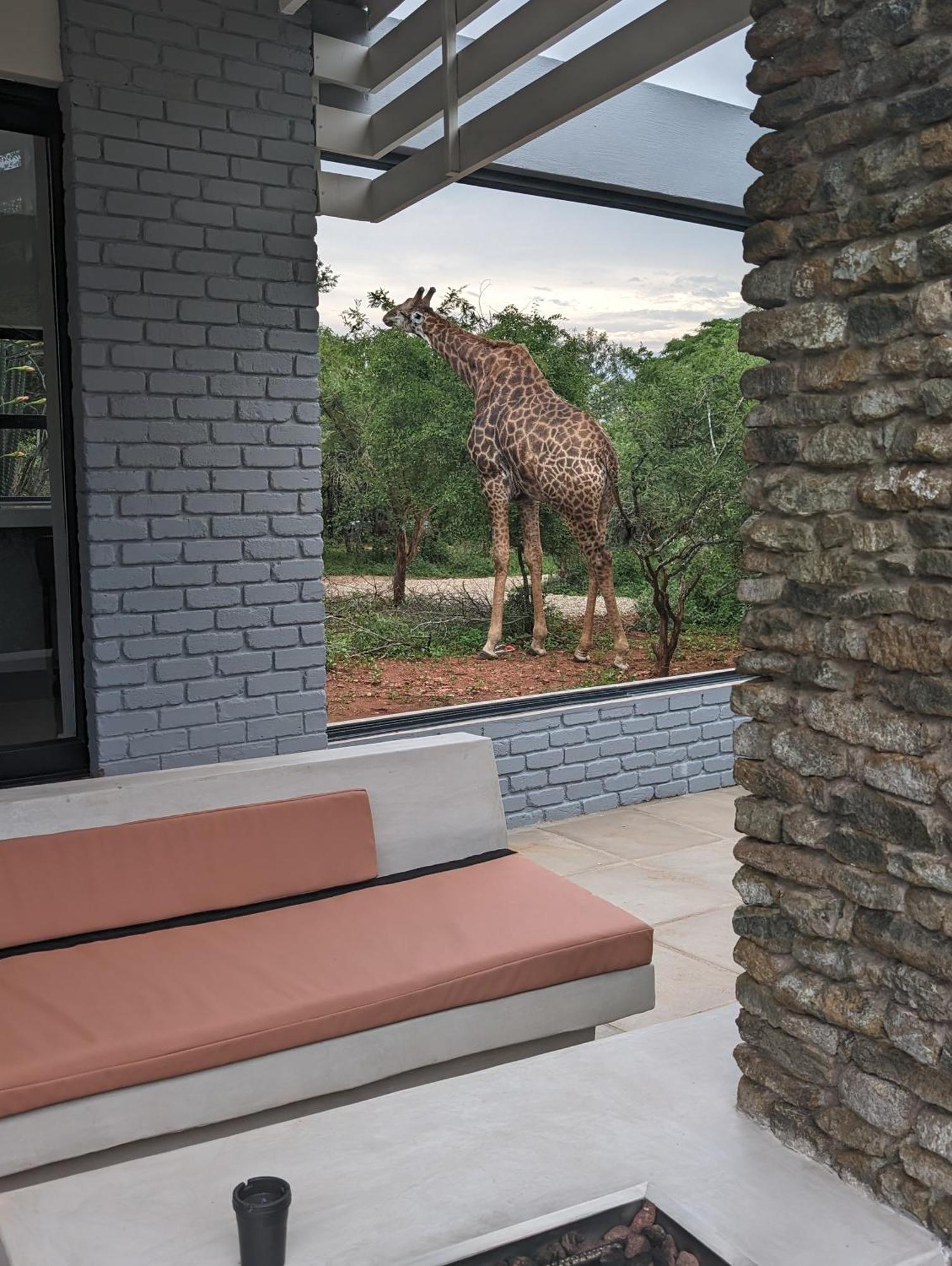 Willa Ungava Retreat Marloth Park Zewnętrze zdjęcie